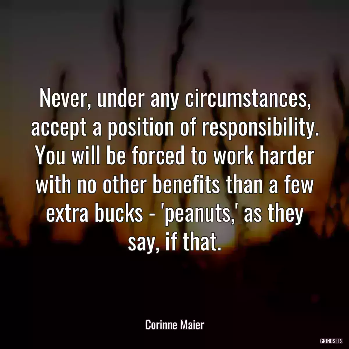 Never, under any circumstances, accept a position of responsibility. You will be forced to work harder with no other benefits than a few extra bucks - \'peanuts,\' as they say, if that.