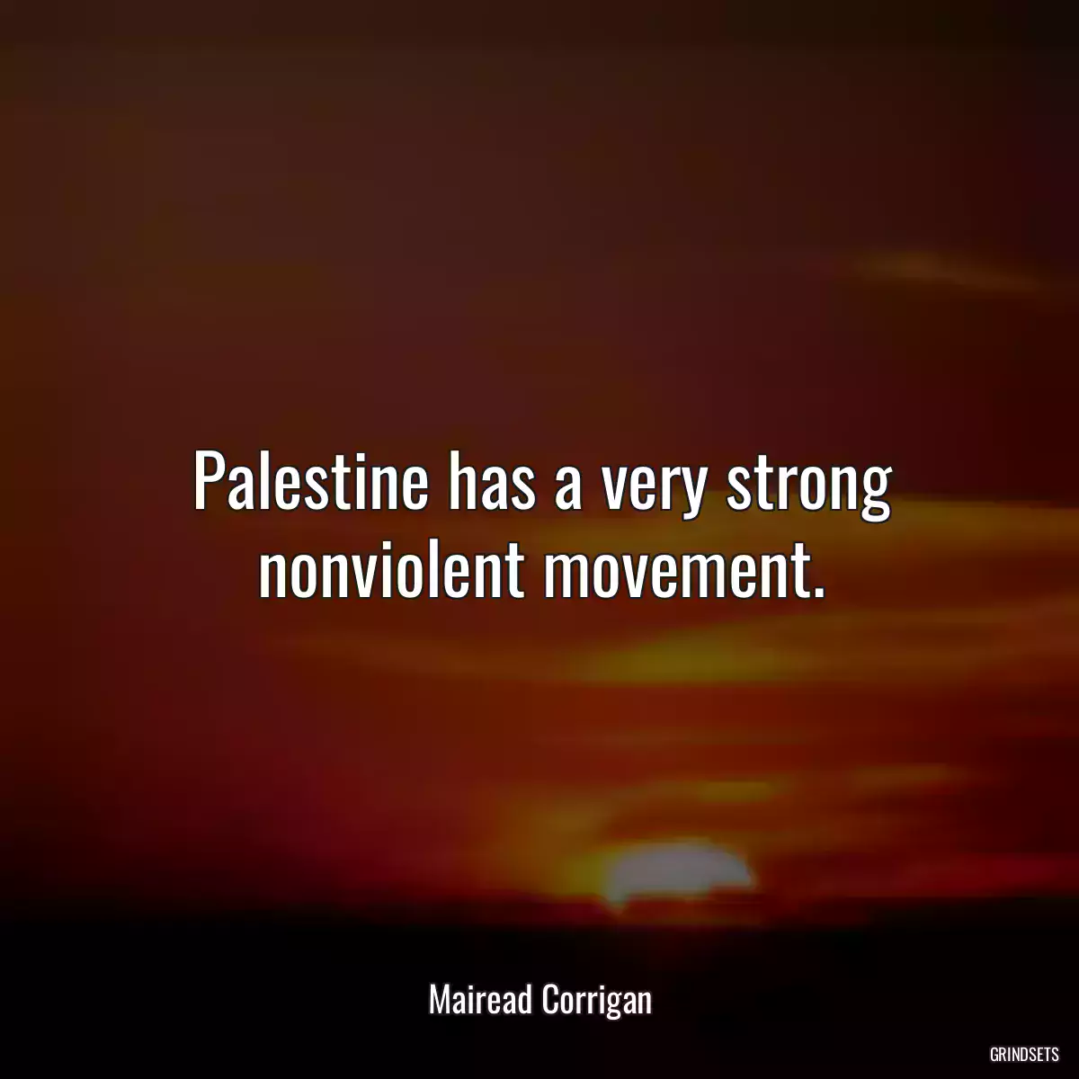 Palestine has a very strong nonviolent movement.