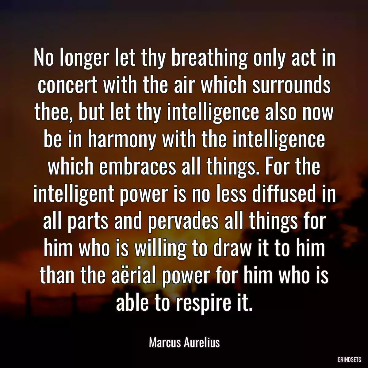 No longer let thy breathing only act in concert with the air which surrounds thee, but let thy intelligence also now be in harmony with the intelligence which embraces all things. For the intelligent power is no less diffused in all parts and pervades all things for him who is willing to draw it to him than the aërial power for him who is able to respire it.