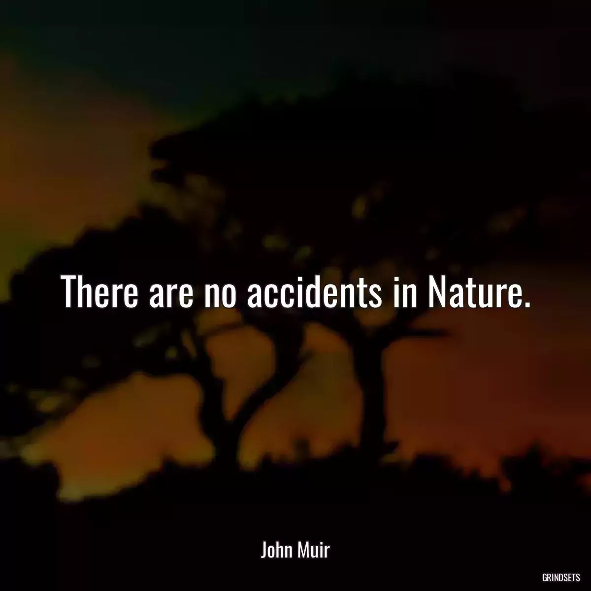 There are no accidents in Nature.