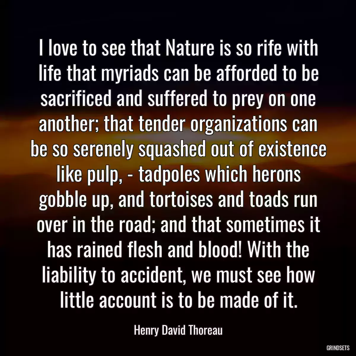 I love to see that Nature is so rife with life that myriads can be afforded to be sacrificed and suffered to prey on one another; that tender organizations can be so serenely squashed out of existence like pulp, - tadpoles which herons gobble up, and tortoises and toads run over in the road; and that sometimes it has rained flesh and blood! With the liability to accident, we must see how little account is to be made of it.