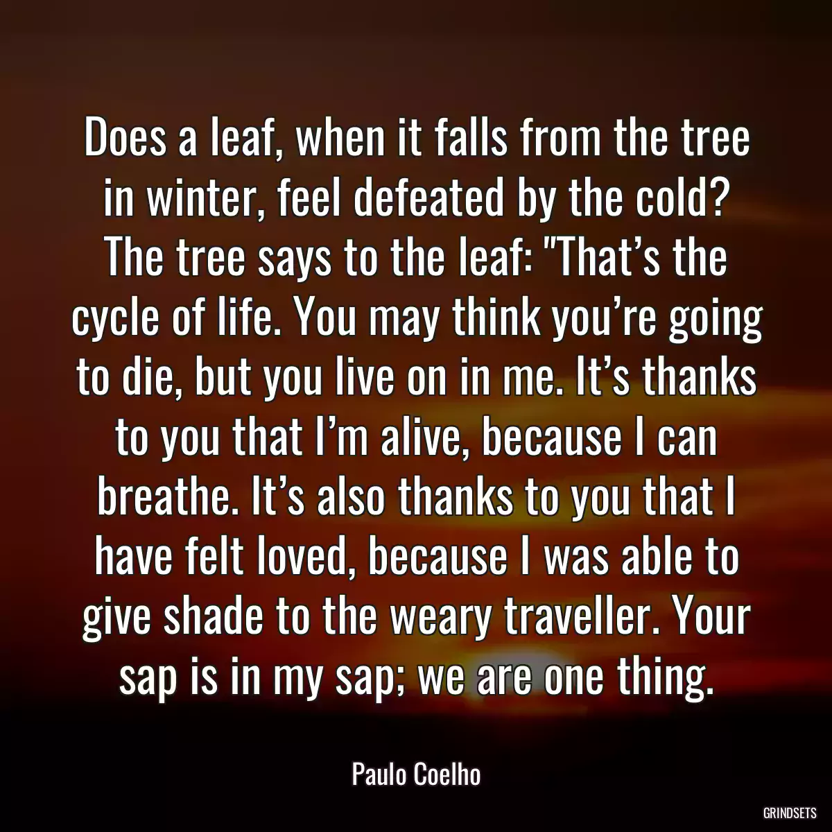 Does a leaf, when it falls from the tree in winter, feel defeated by the cold? The tree says to the leaf: \