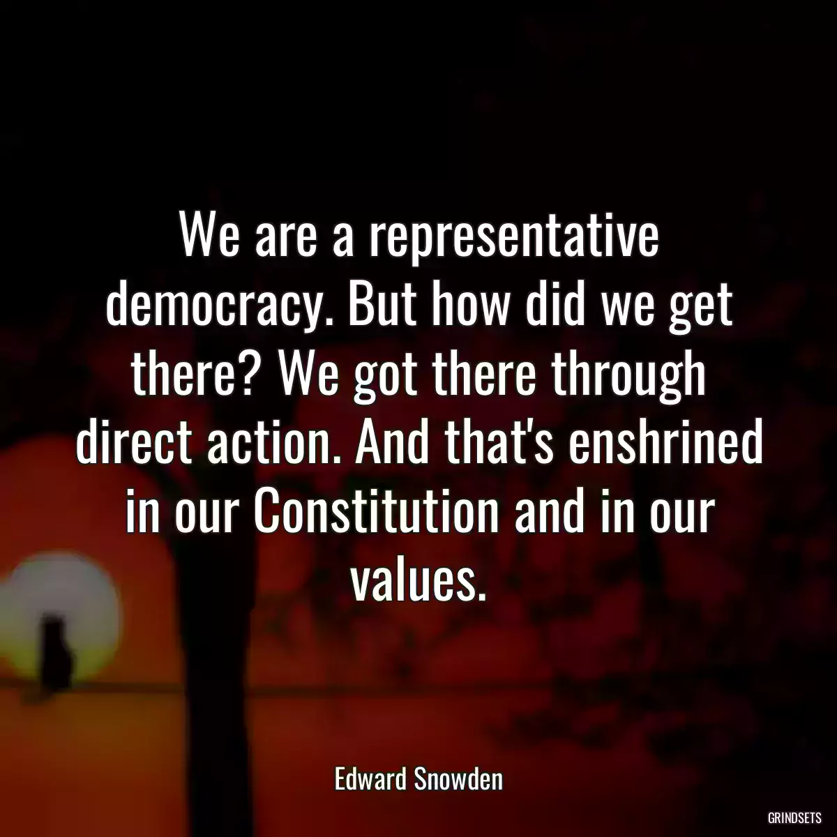 We are a representative democracy. But how did we get there? We got there through direct action. And that\'s enshrined in our Constitution and in our values.