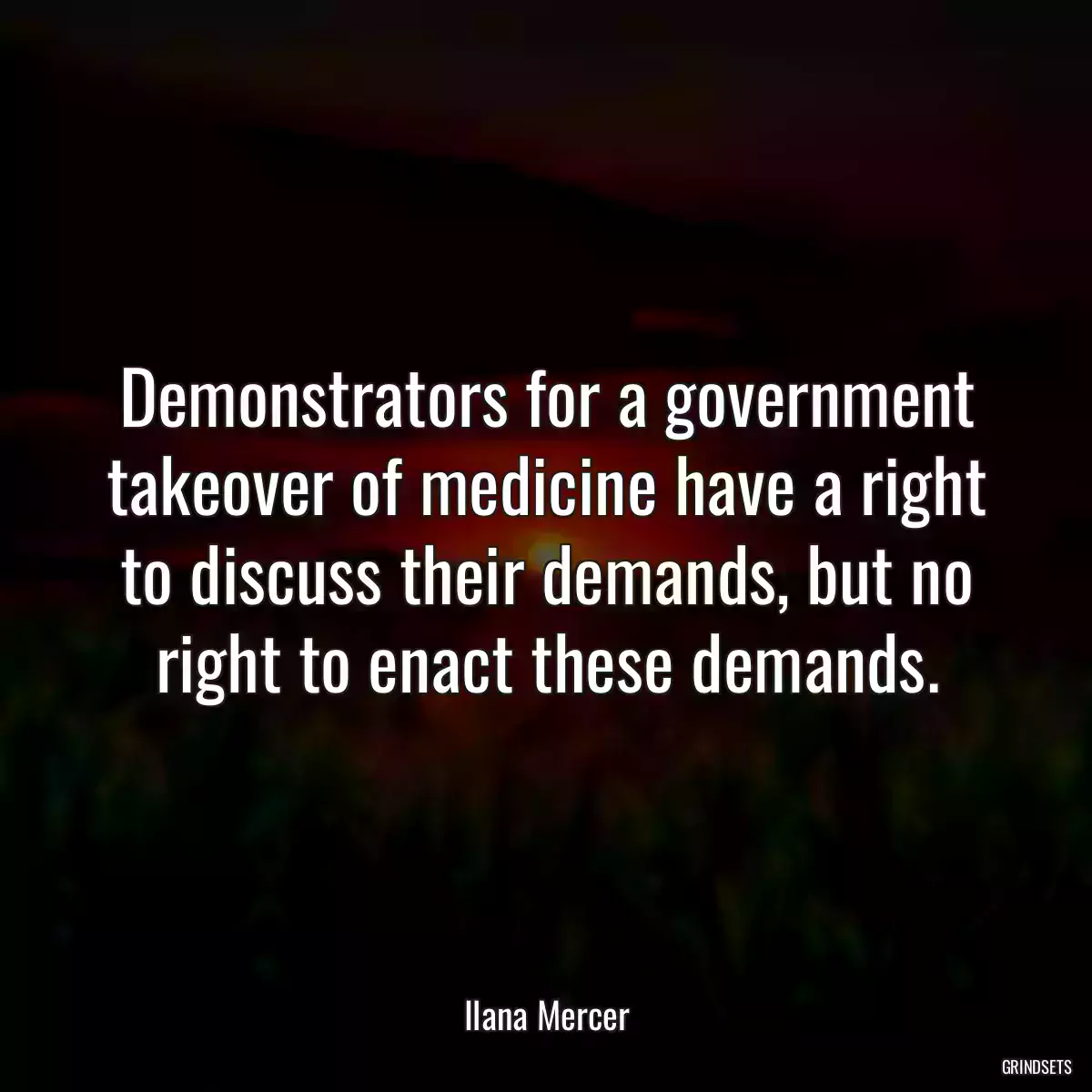 Demonstrators for a government takeover of medicine have a right to discuss their demands, but no right to enact these demands.