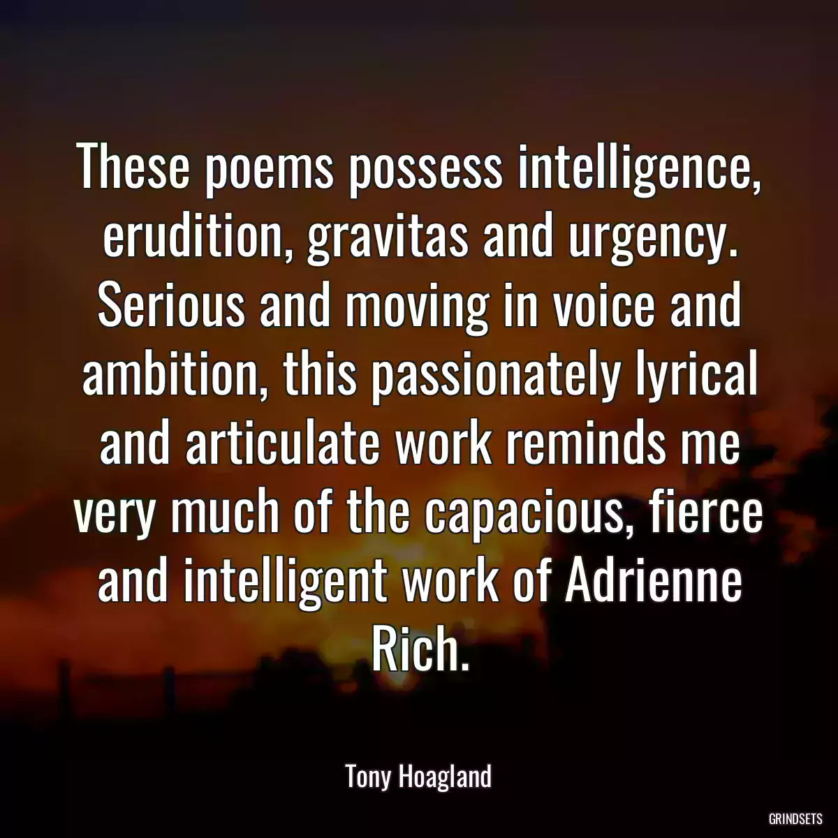 These poems possess intelligence, erudition, gravitas and urgency. Serious and moving in voice and ambition, this passionately lyrical and articulate work reminds me very much of the capacious, fierce and intelligent work of Adrienne Rich.