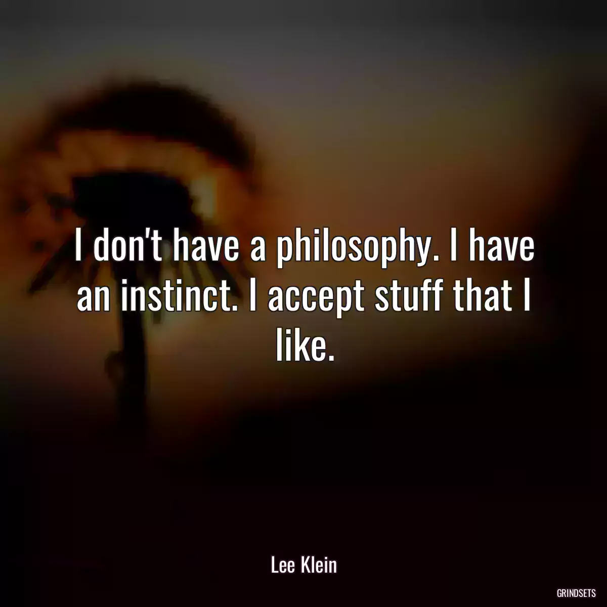 I don\'t have a philosophy. I have an instinct. I accept stuff that I like.