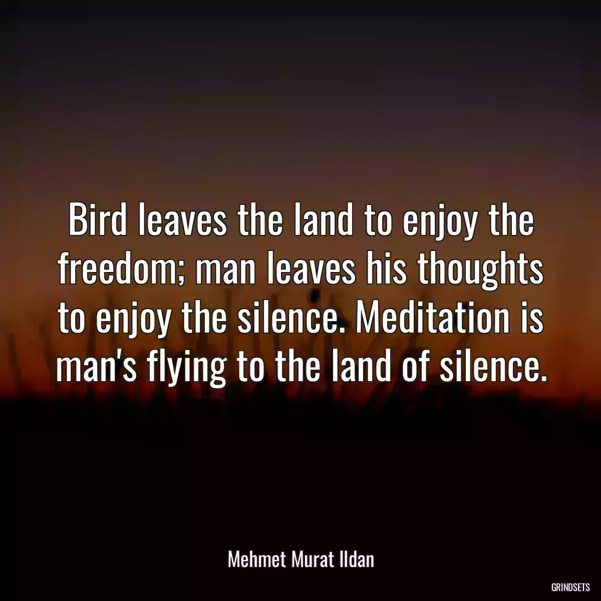 Bird leaves the land to enjoy the freedom; man leaves his thoughts to enjoy the silence. Meditation is man\'s flying to the land of silence.