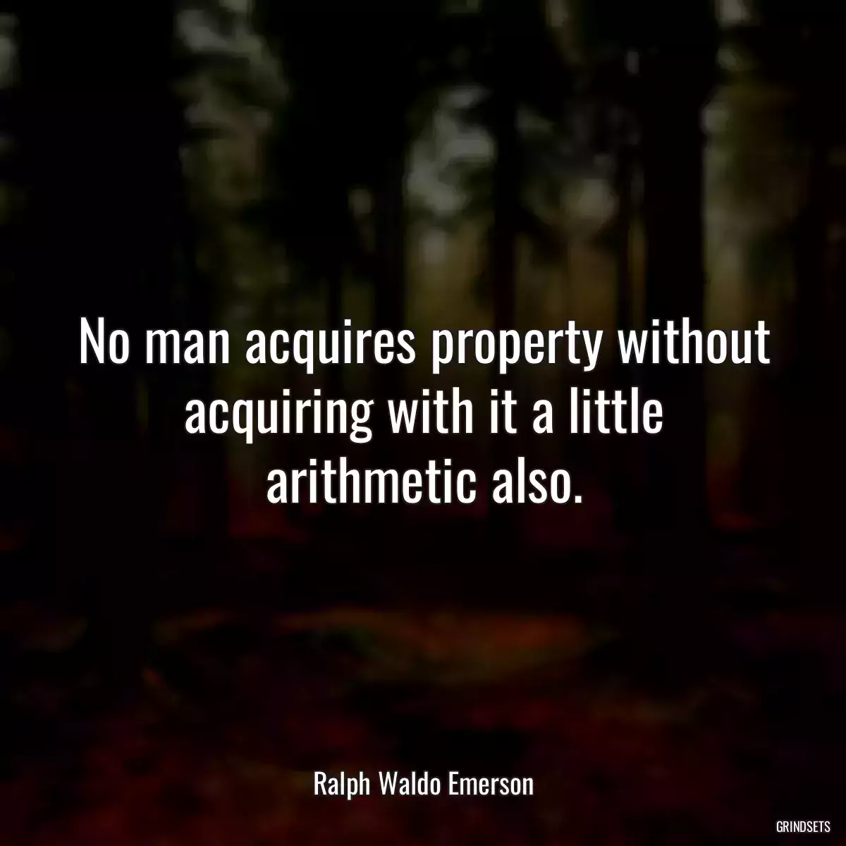 No man acquires property without acquiring with it a little arithmetic also.