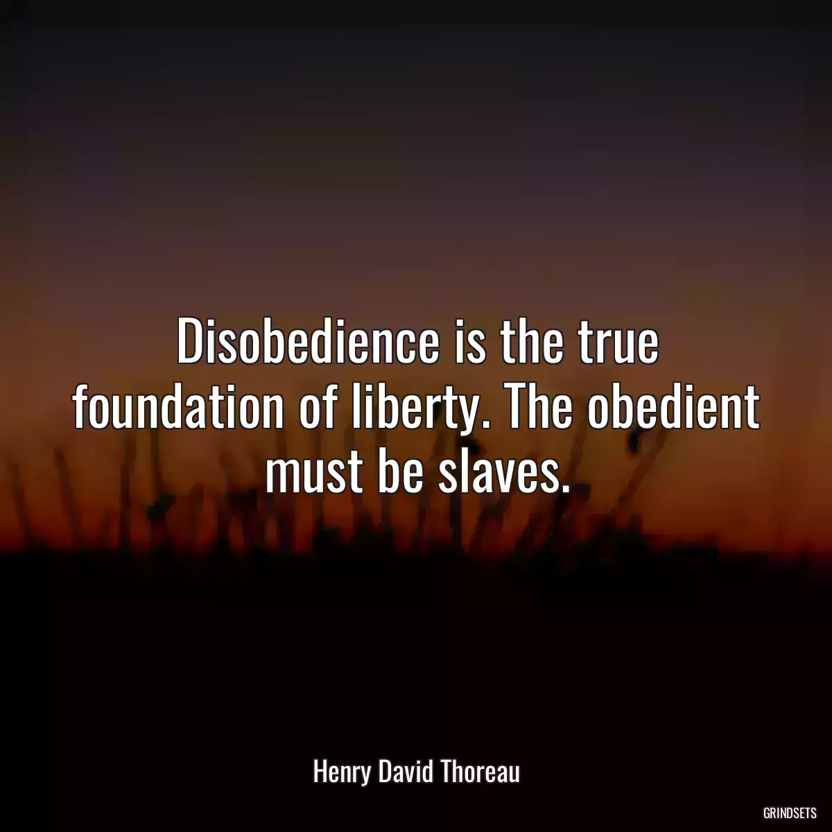 Disobedience is the true foundation of liberty. The obedient must be slaves.