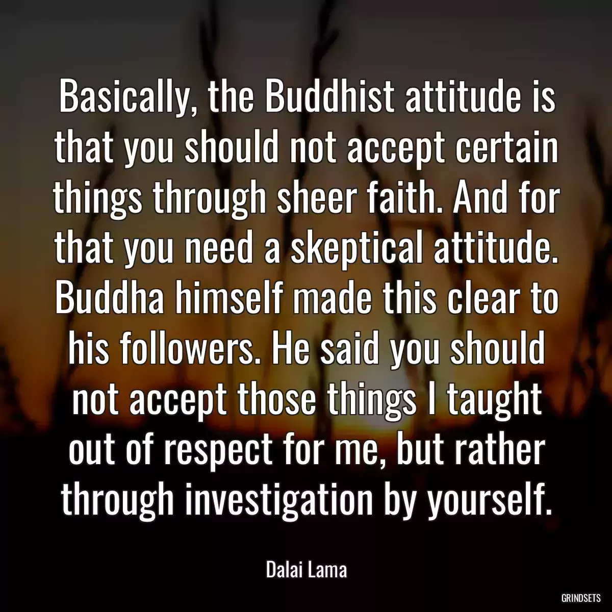 Basically, the Buddhist attitude is that you should not accept certain things through sheer faith. And for that you need a skeptical attitude. Buddha himself made this clear to his followers. He said you should not accept those things I taught out of respect for me, but rather through investigation by yourself.