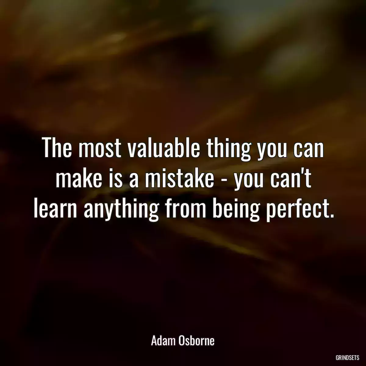 The most valuable thing you can make is a mistake - you can\'t learn anything from being perfect.