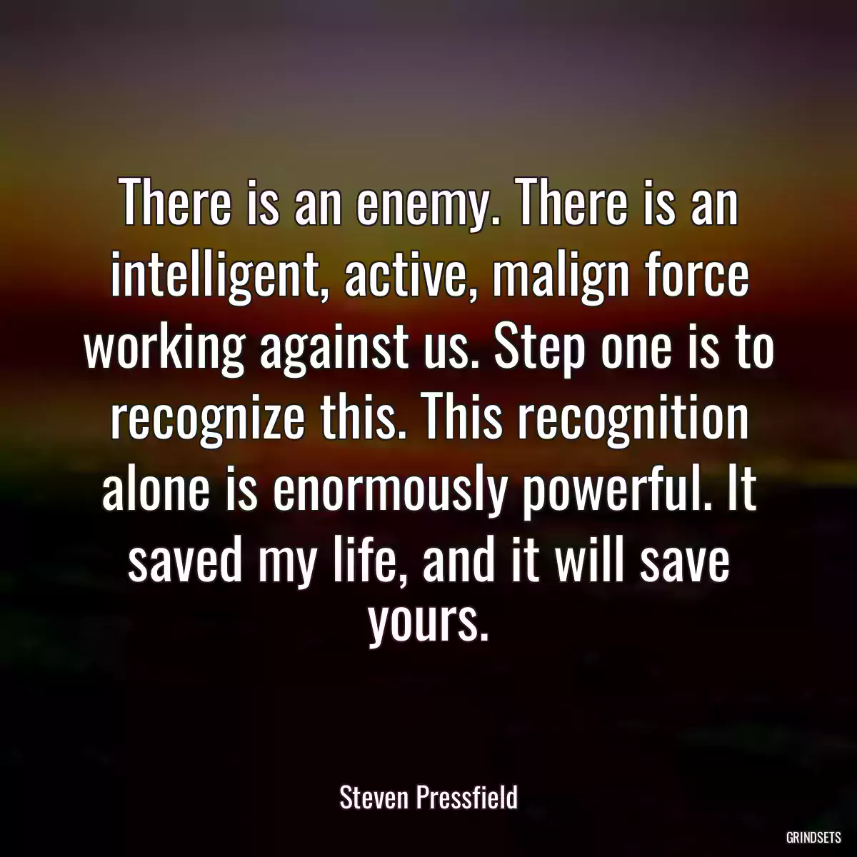 There is an enemy. There is an intelligent, active, malign force working against us. Step one is to recognize this. This recognition alone is enormously powerful. It saved my life, and it will save yours.