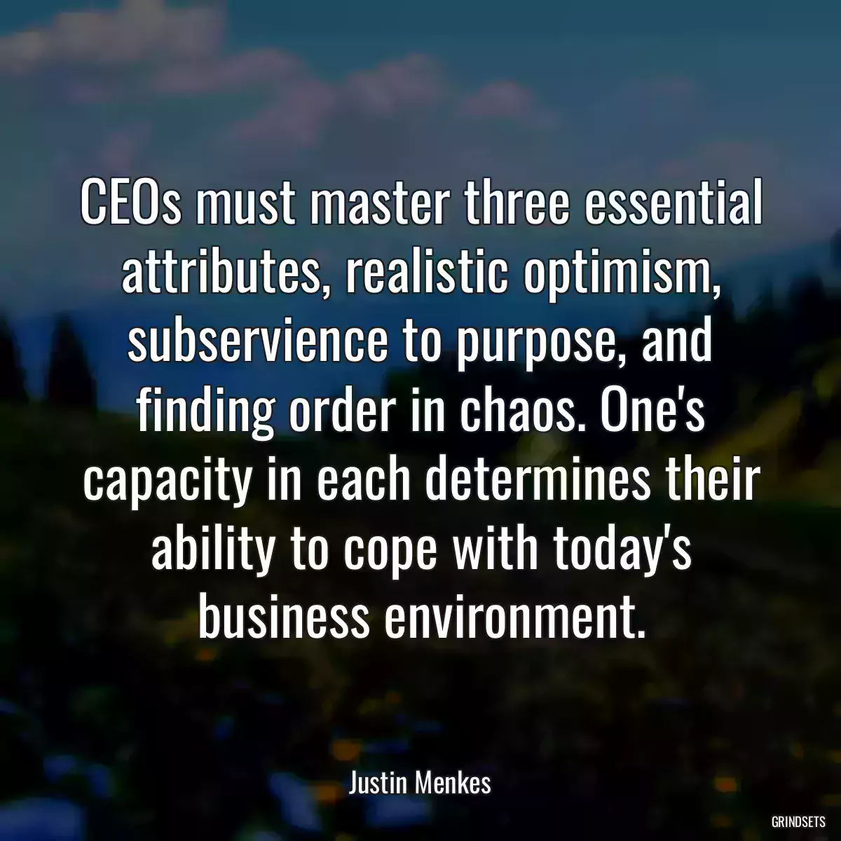 CEOs must master three essential attributes, realistic optimism, subservience to purpose, and finding order in chaos. One\'s capacity in each determines their ability to cope with today\'s business environment.