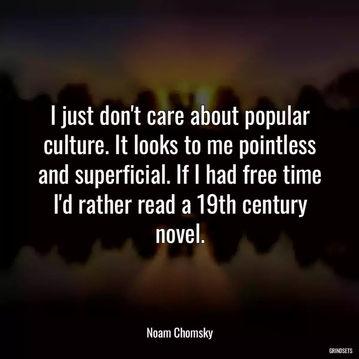 I just don\'t care about popular culture. It looks to me pointless and superficial. If I had free time I\'d rather read a 19th century novel.