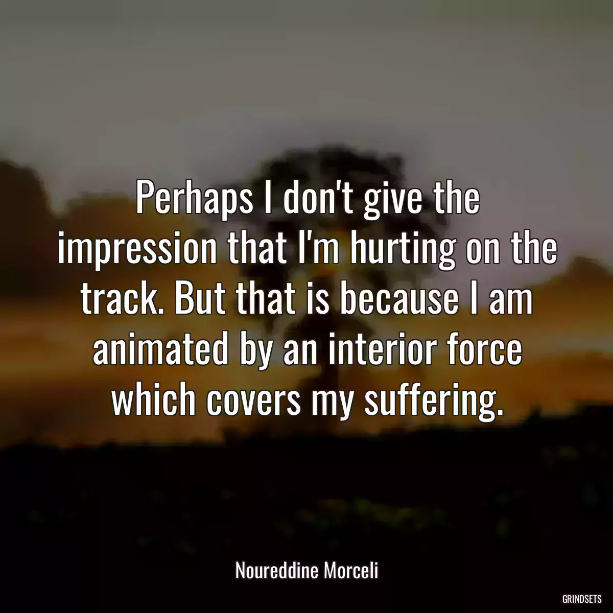 Perhaps I don\'t give the impression that I\'m hurting on the track. But that is because I am animated by an interior force which covers my suffering.