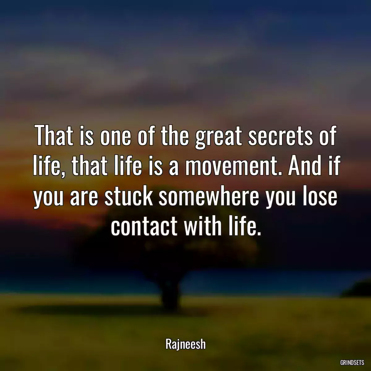 That is one of the great secrets of life, that life is a movement. And if you are stuck somewhere you lose contact with life.