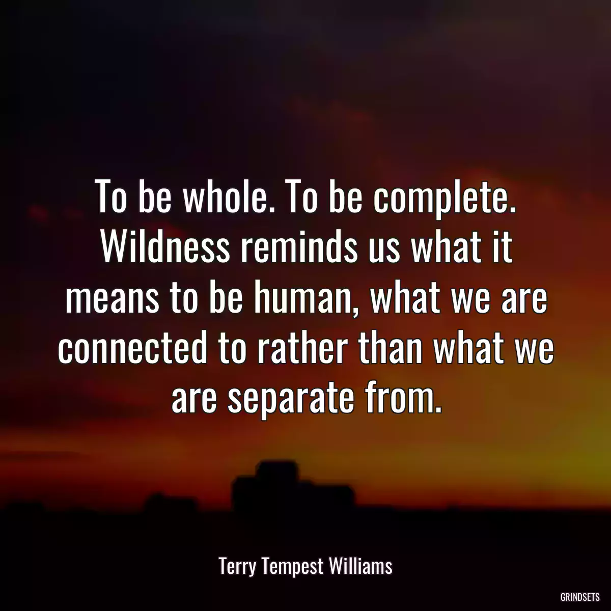 To be whole. To be complete. Wildness reminds us what it means to be human, what we are connected to rather than what we are separate from.