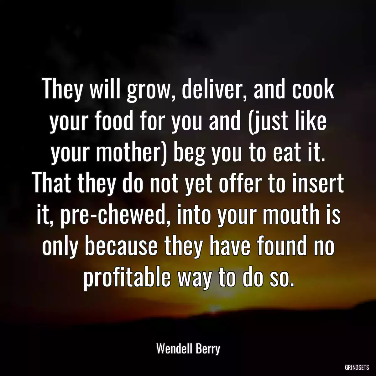 They will grow, deliver, and cook your food for you and (just like your mother) beg you to eat it. That they do not yet offer to insert it, pre-chewed, into your mouth is only because they have found no profitable way to do so.