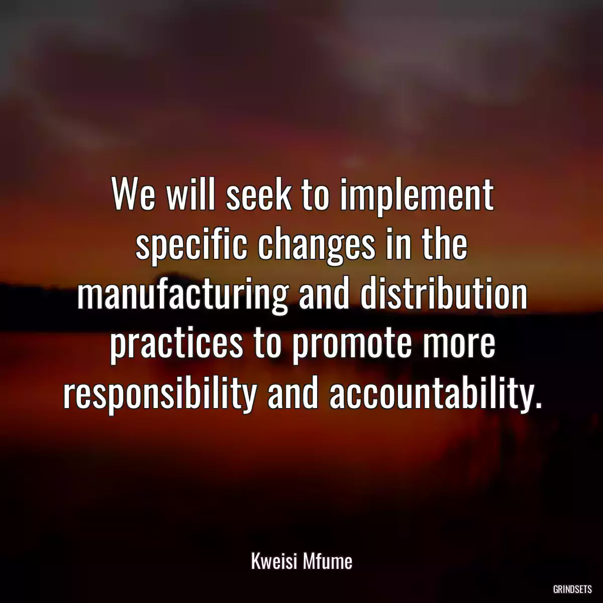 We will seek to implement specific changes in the manufacturing and distribution practices to promote more responsibility and accountability.