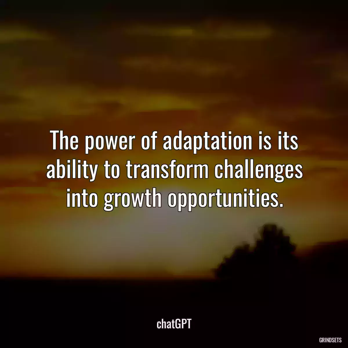 The power of adaptation is its ability to transform challenges into growth opportunities.