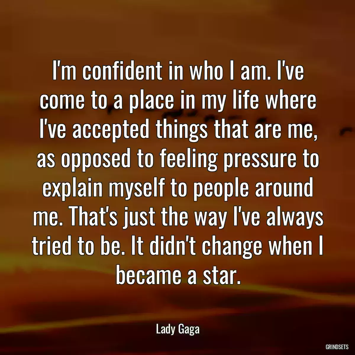 I\'m confident in who I am. I\'ve come to a place in my life where I\'ve accepted things that are me, as opposed to feeling pressure to explain myself to people around me. That\'s just the way I\'ve always tried to be. It didn\'t change when I became a star.