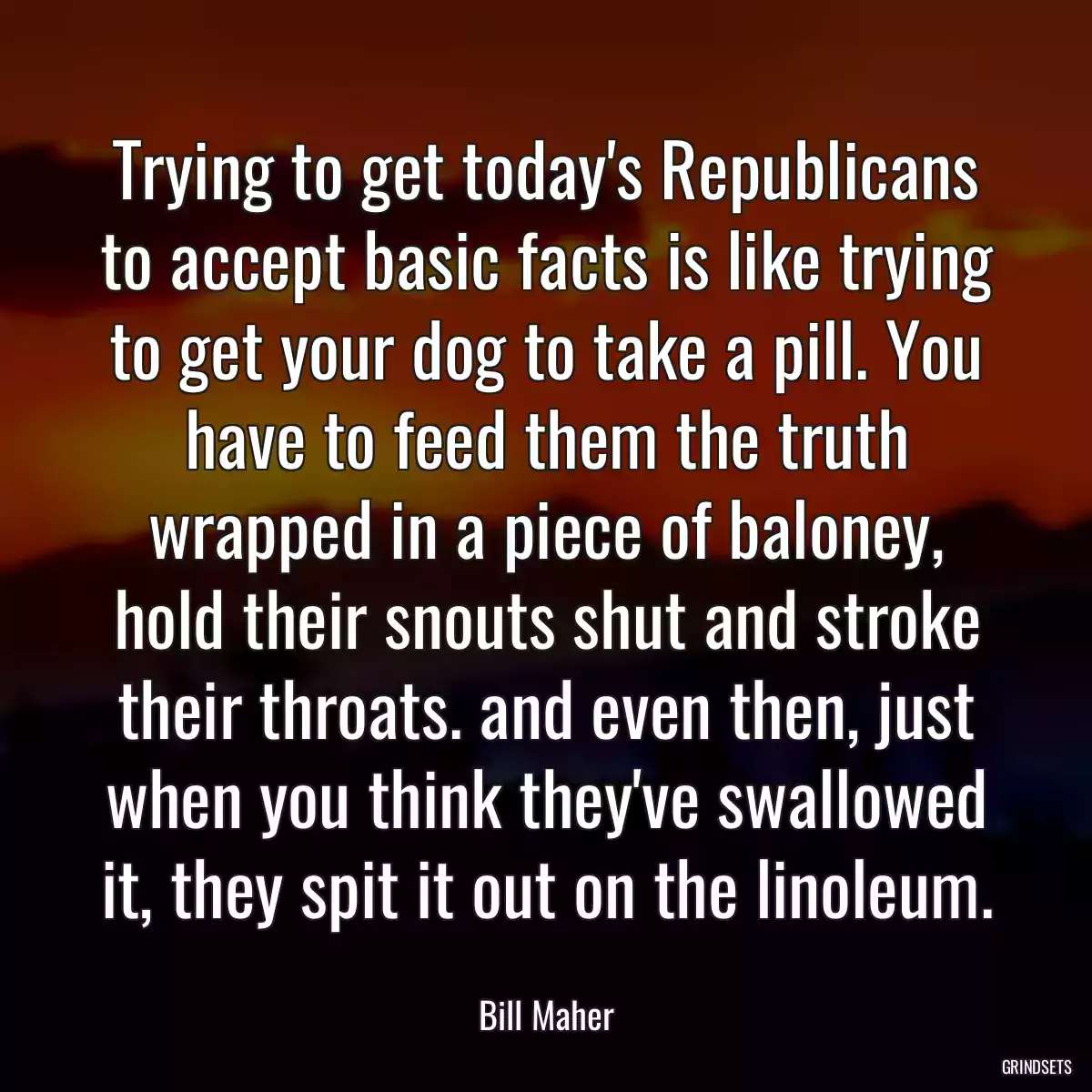 Trying to get today\'s Republicans to accept basic facts is like trying to get your dog to take a pill. You have to feed them the truth wrapped in a piece of baloney, hold their snouts shut and stroke their throats. and even then, just when you think they\'ve swallowed it, they spit it out on the linoleum.