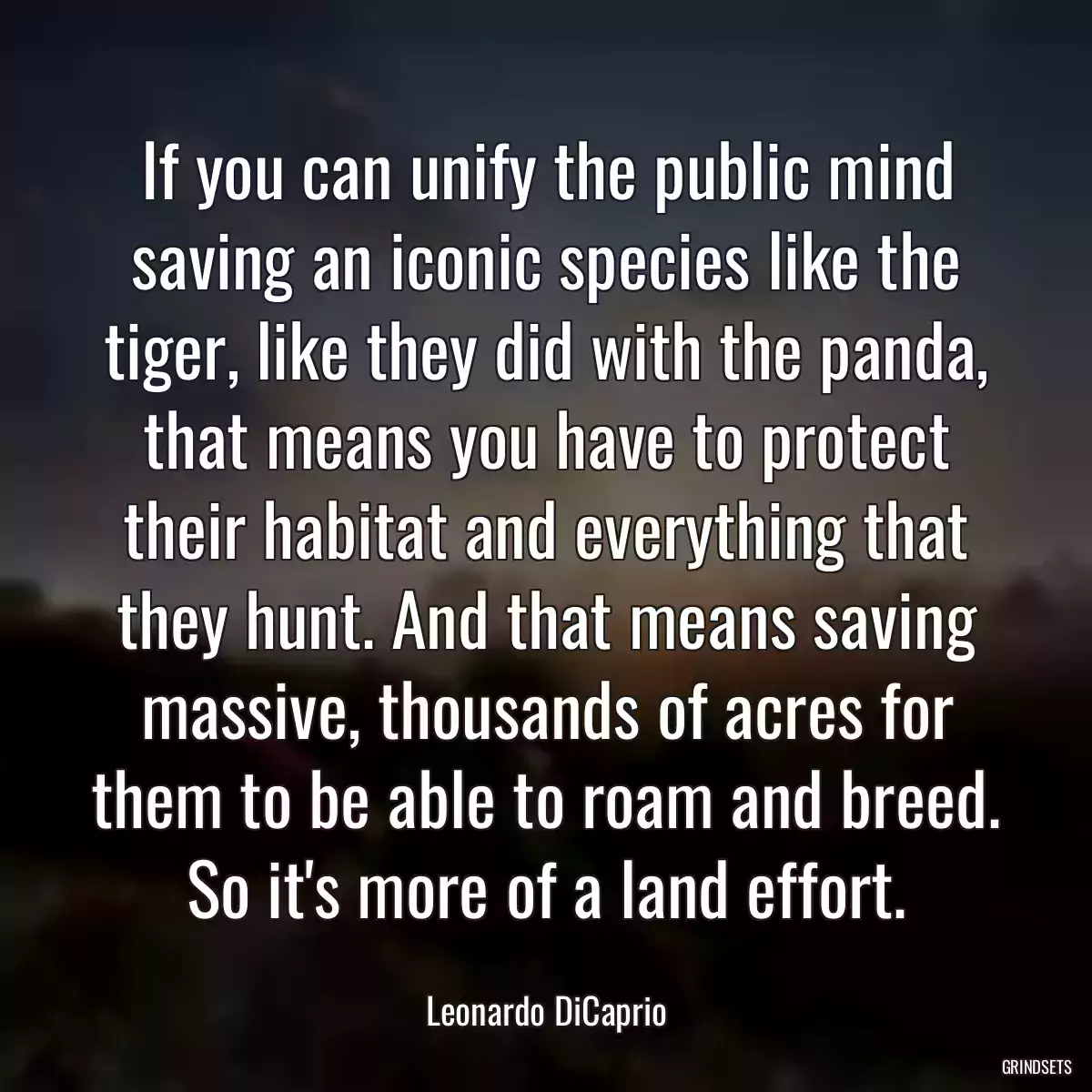 If you can unify the public mind saving an iconic species like the tiger, like they did with the panda, that means you have to protect their habitat and everything that they hunt. And that means saving massive, thousands of acres for them to be able to roam and breed. So it\'s more of a land effort.