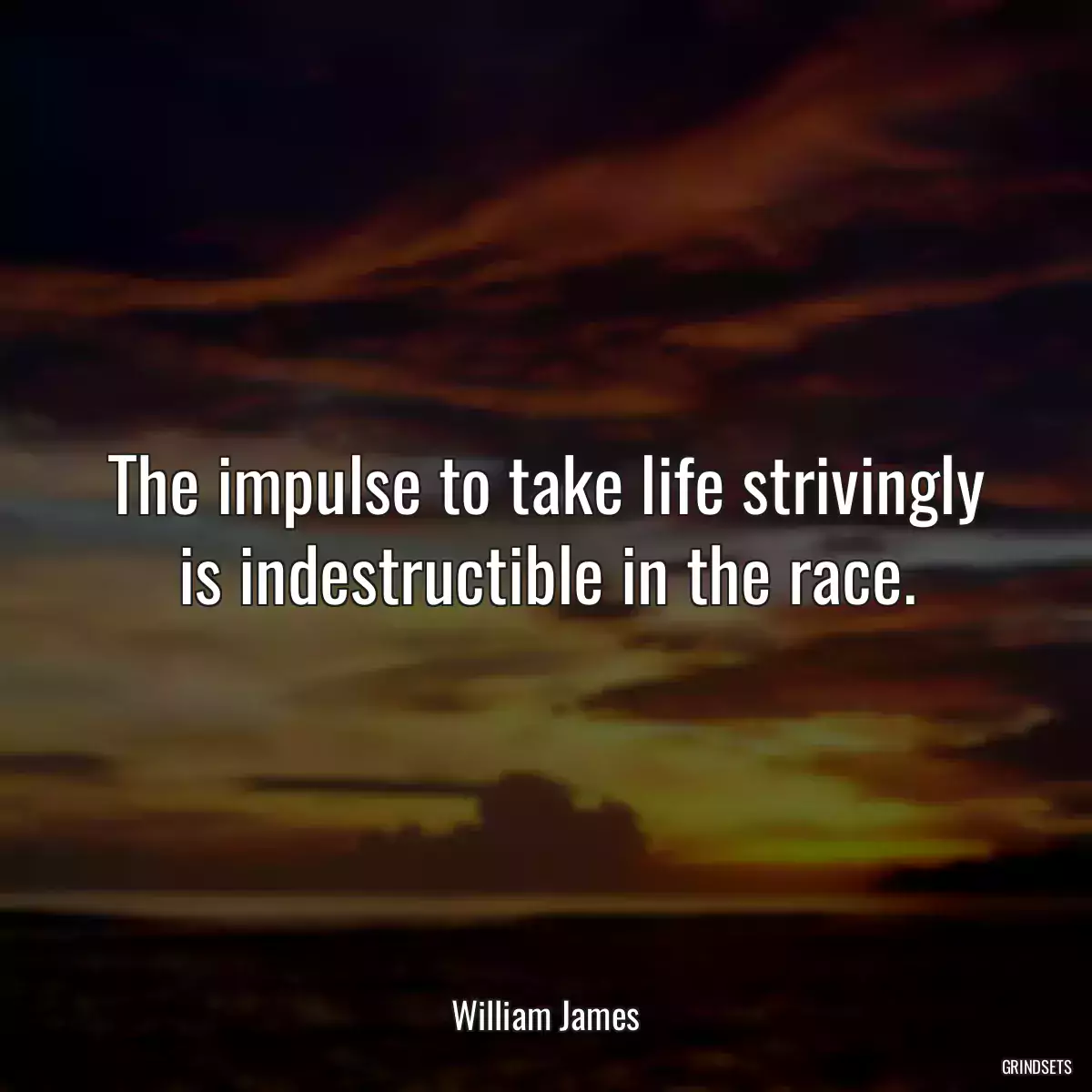 The impulse to take life strivingly is indestructible in the race.