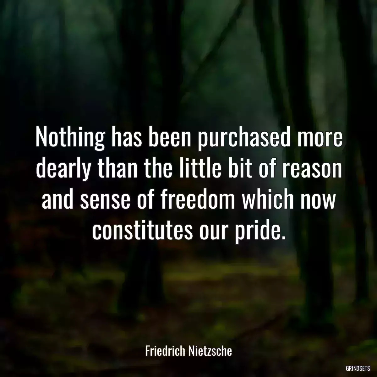 Nothing has been purchased more dearly than the little bit of reason and sense of freedom which now constitutes our pride.