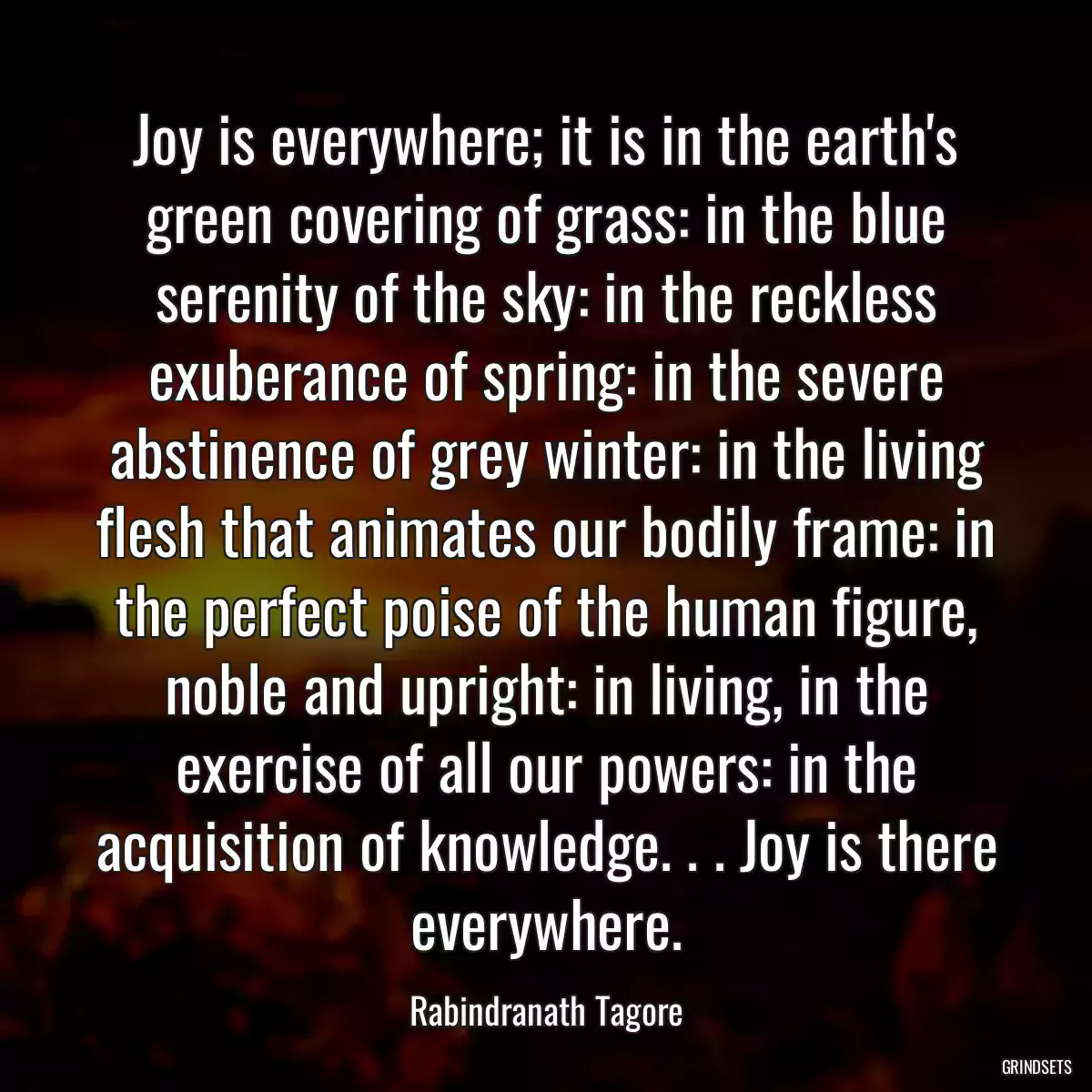 Joy is everywhere; it is in the earth\'s green covering of grass: in the blue serenity of the sky: in the reckless exuberance of spring: in the severe abstinence of grey winter: in the living flesh that animates our bodily frame: in the perfect poise of the human figure, noble and upright: in living, in the exercise of all our powers: in the acquisition of knowledge. . . Joy is there everywhere.