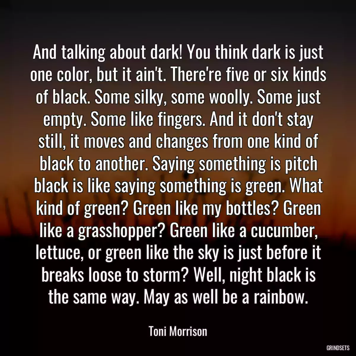 And talking about dark! You think dark is just one color, but it ain\'t. There\'re five or six kinds of black. Some silky, some woolly. Some just empty. Some like fingers. And it don\'t stay still, it moves and changes from one kind of black to another. Saying something is pitch black is like saying something is green. What kind of green? Green like my bottles? Green like a grasshopper? Green like a cucumber, lettuce, or green like the sky is just before it breaks loose to storm? Well, night black is the same way. May as well be a rainbow.