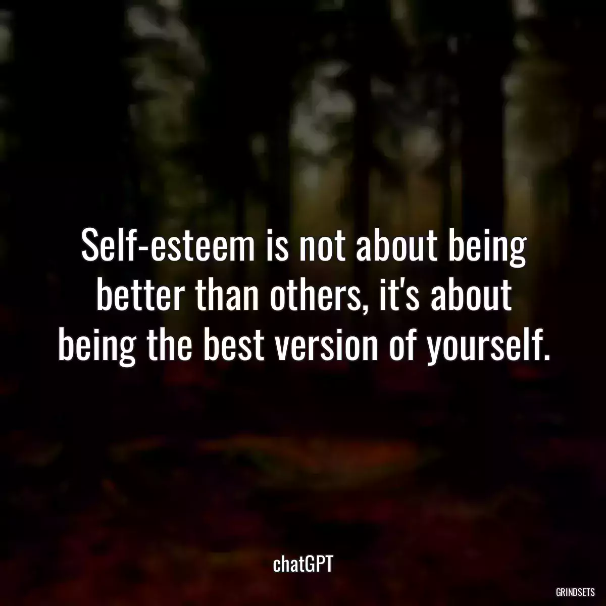 Self-esteem is not about being better than others, it\'s about being the best version of yourself.