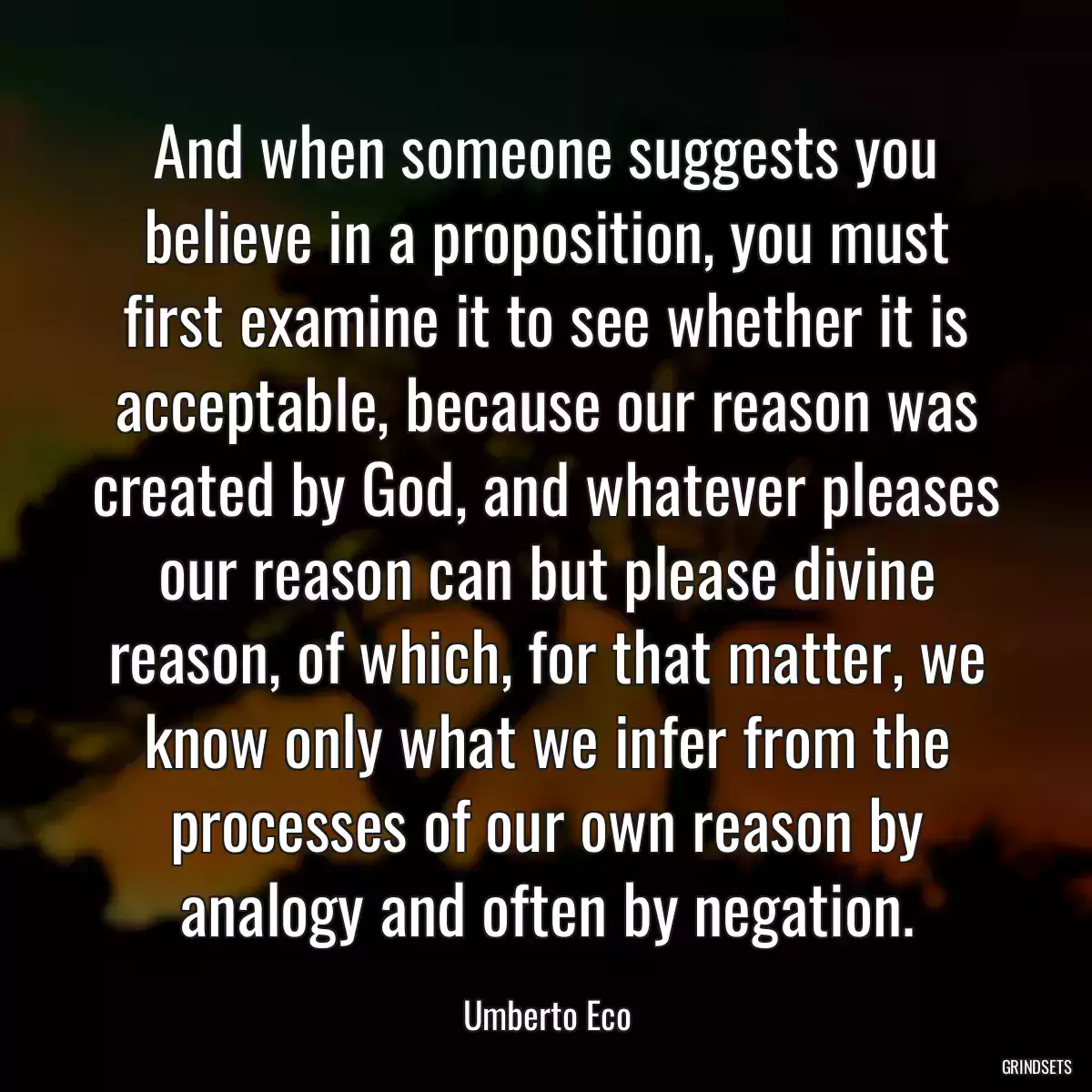 And when someone suggests you believe in a proposition, you must first examine it to see whether it is acceptable, because our reason was created by God, and whatever pleases our reason can but please divine reason, of which, for that matter, we know only what we infer from the processes of our own reason by analogy and often by negation.