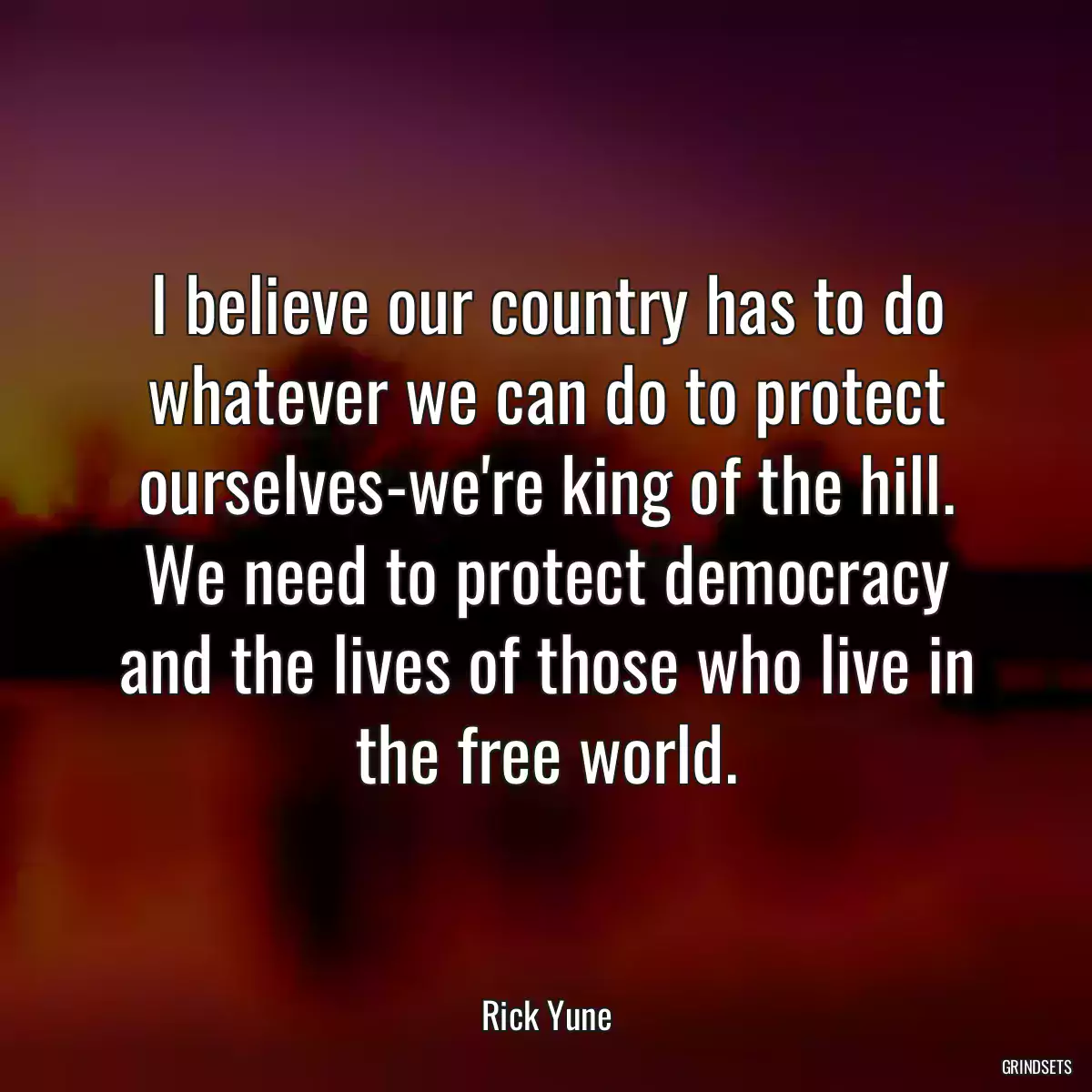 I believe our country has to do whatever we can do to protect ourselves-we\'re king of the hill. We need to protect democracy and the lives of those who live in the free world.