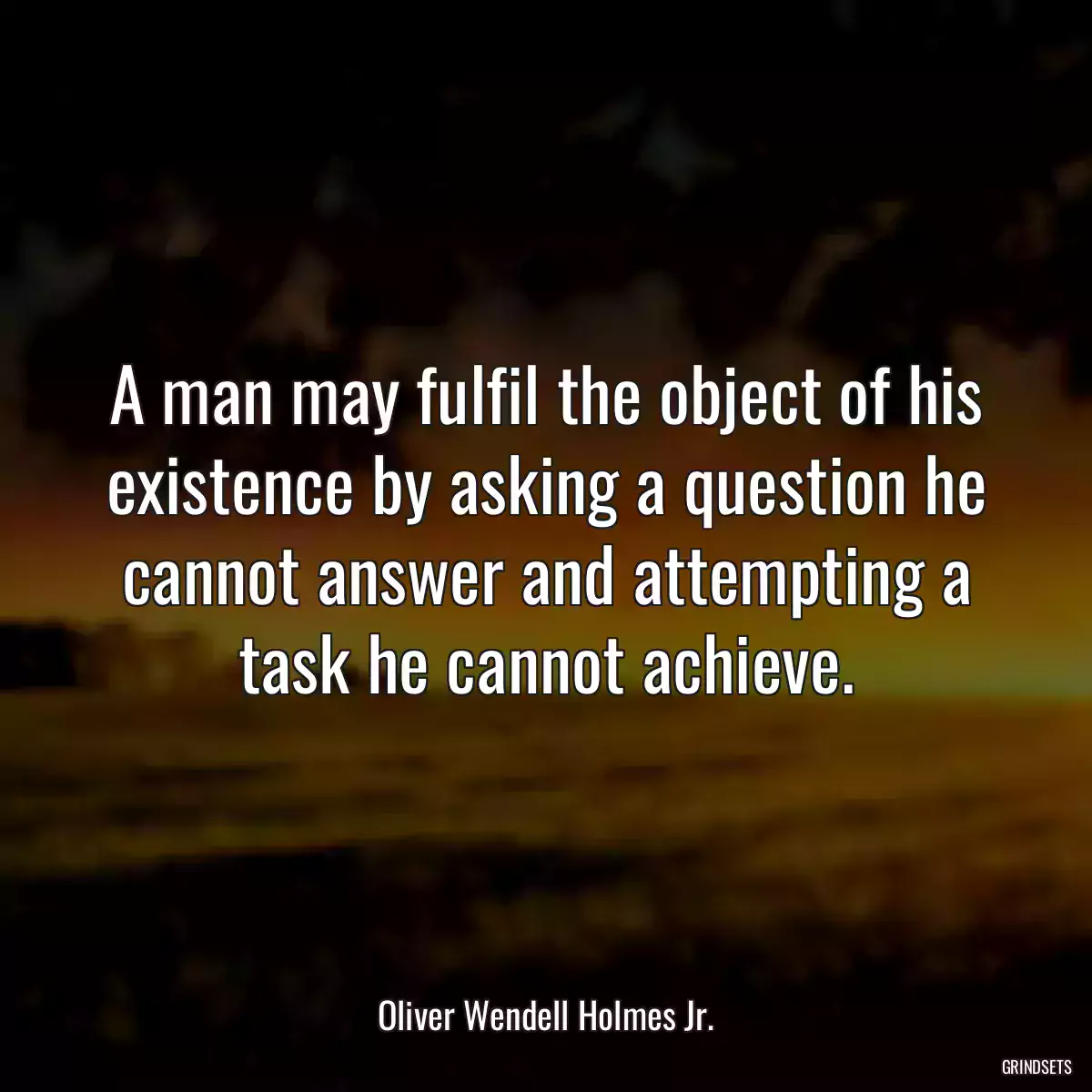 A man may fulfil the object of his existence by asking a question he cannot answer and attempting a task he cannot achieve.