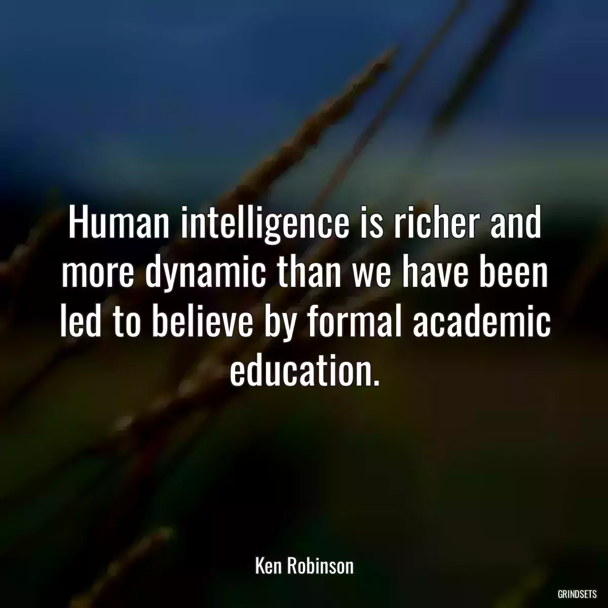 Human intelligence is richer and more dynamic than we have been led to believe by formal academic education.