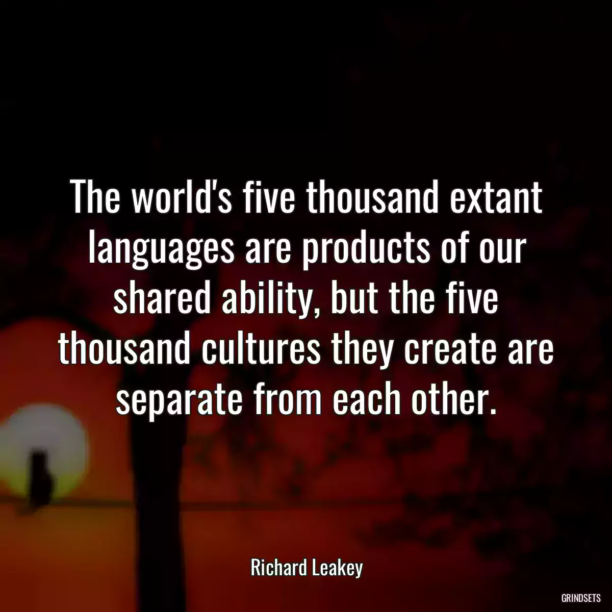 The world\'s five thousand extant languages are products of our shared ability, but the five thousand cultures they create are separate from each other.