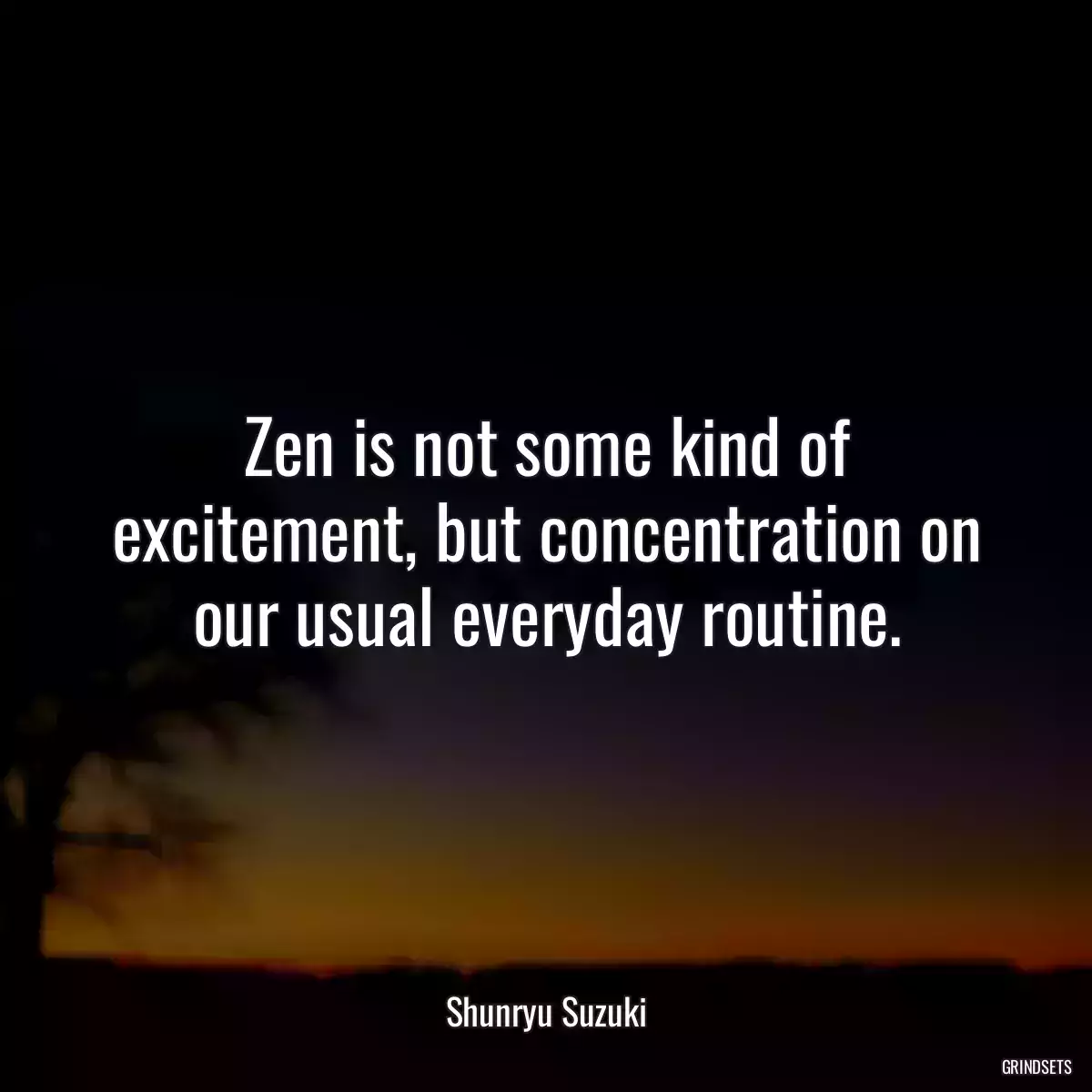 Zen is not some kind of excitement, but concentration on our usual everyday routine.