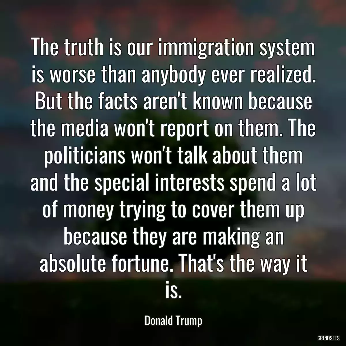 The truth is our immigration system is worse than anybody ever realized. But the facts aren\'t known because the media won\'t report on them. The politicians won\'t talk about them and the special interests spend a lot of money trying to cover them up because they are making an absolute fortune. That\'s the way it is.