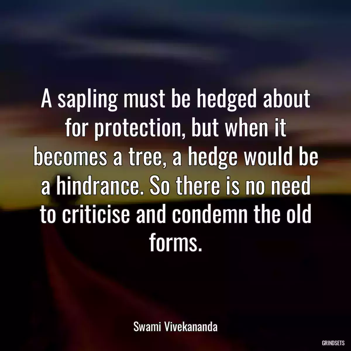 A sapling must be hedged about for protection, but when it becomes a tree, a hedge would be a hindrance. So there is no need to criticise and condemn the old forms.