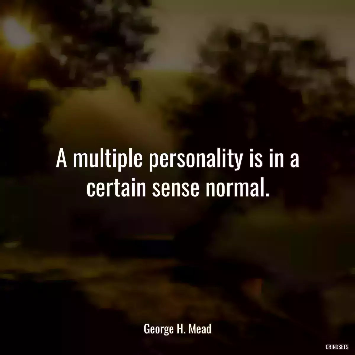 A multiple personality is in a certain sense normal.