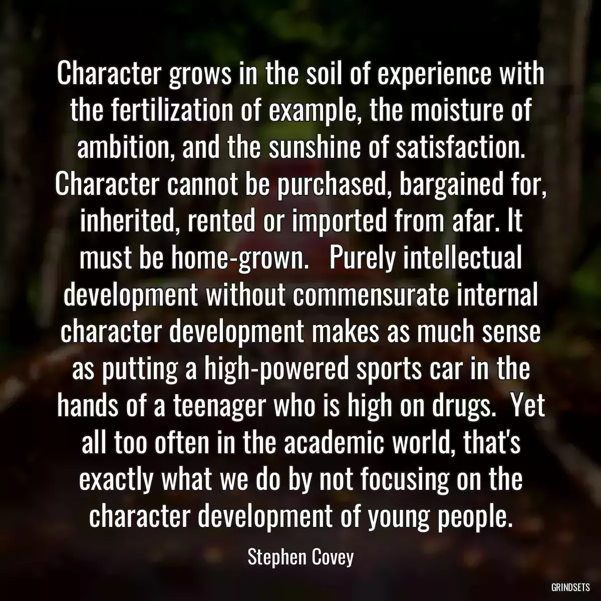 Character grows in the soil of experience with the fertilization of example, the moisture of ambition, and the sunshine of satisfaction. Character cannot be purchased, bargained for, inherited, rented or imported from afar. It must be home-grown.   Purely intellectual development without commensurate internal character development makes as much sense as putting a high-powered sports car in the hands of a teenager who is high on drugs.  Yet all too often in the academic world, that\'s exactly what we do by not focusing on the character development of young people.