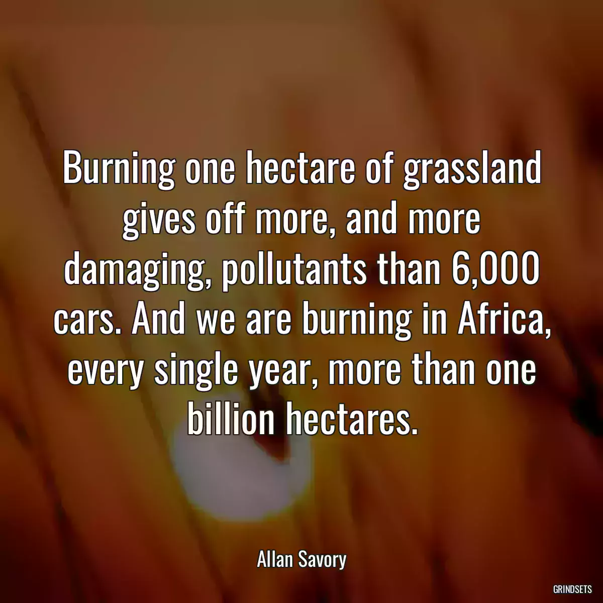 Burning one hectare of grassland gives off more, and more damaging, pollutants than 6,000 cars. And we are burning in Africa, every single year, more than one billion hectares.