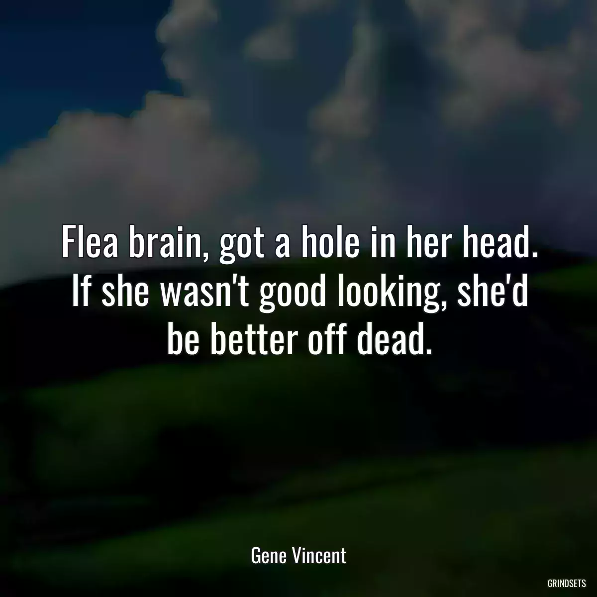 Flea brain, got a hole in her head. If she wasn\'t good looking, she\'d be better off dead.