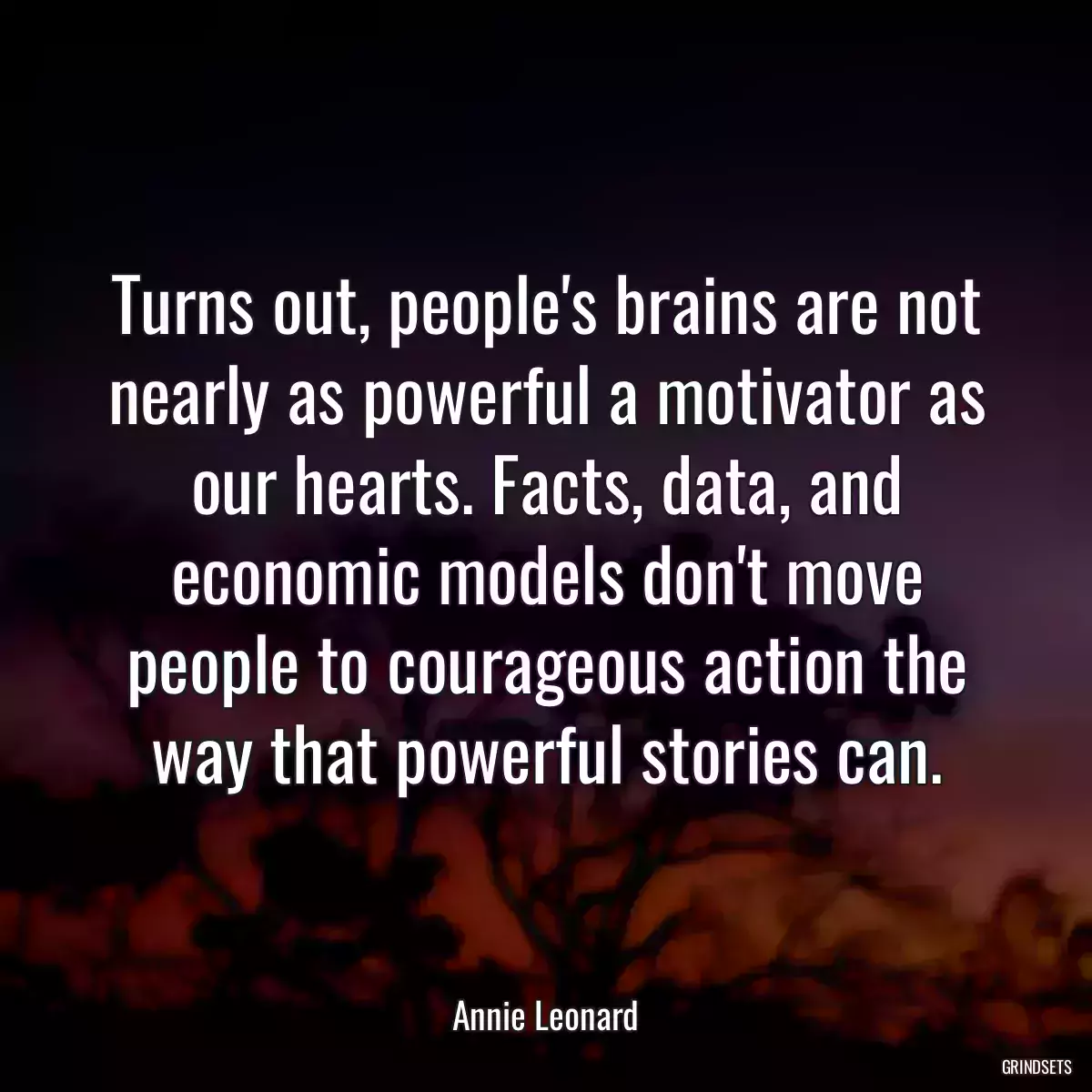 Turns out, people\'s brains are not nearly as powerful a motivator as our hearts. Facts, data, and economic models don\'t move people to courageous action the way that powerful stories can.