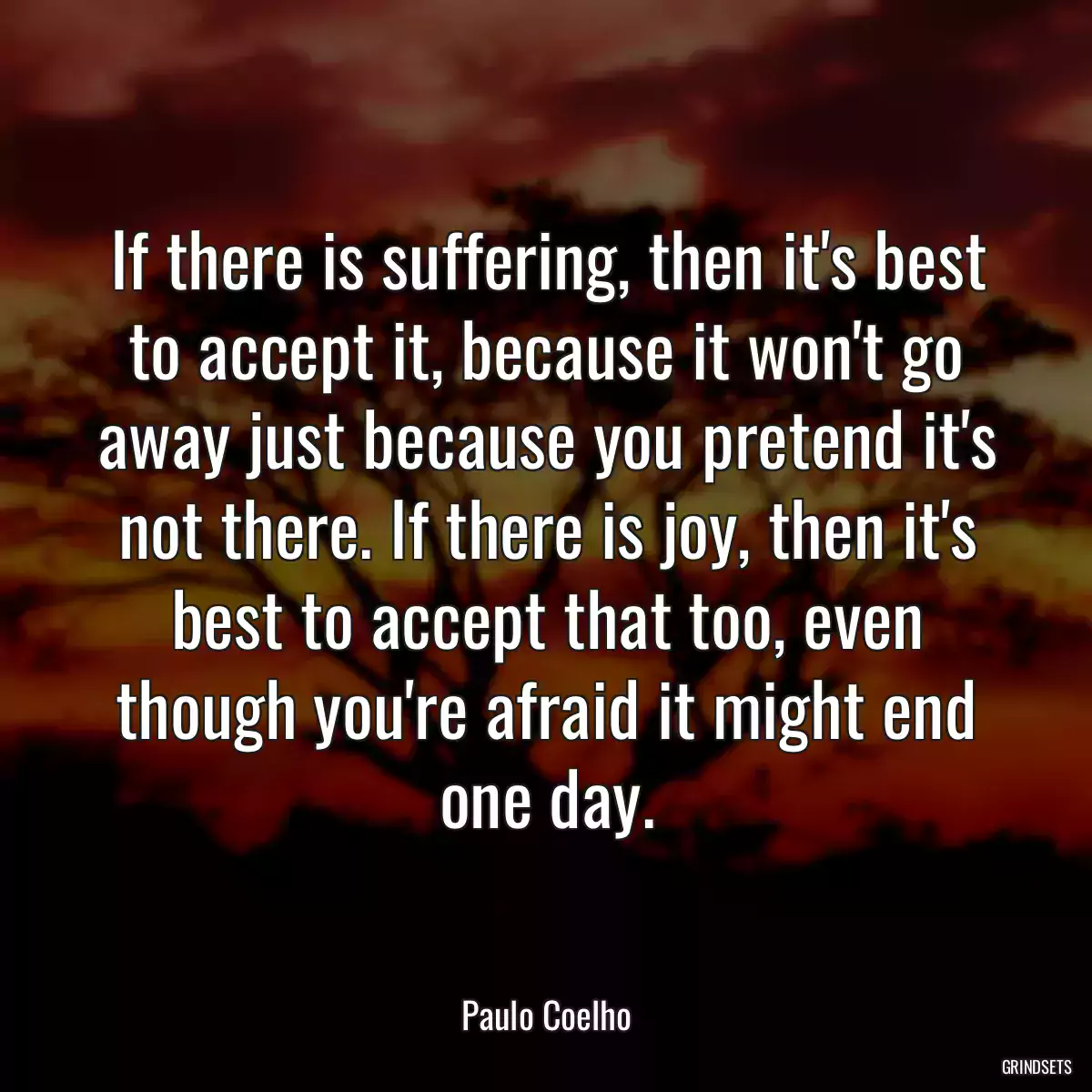 If there is suffering, then it\'s best to accept it, because it won\'t go away just because you pretend it\'s not there. If there is joy, then it\'s best to accept that too, even though you\'re afraid it might end one day.