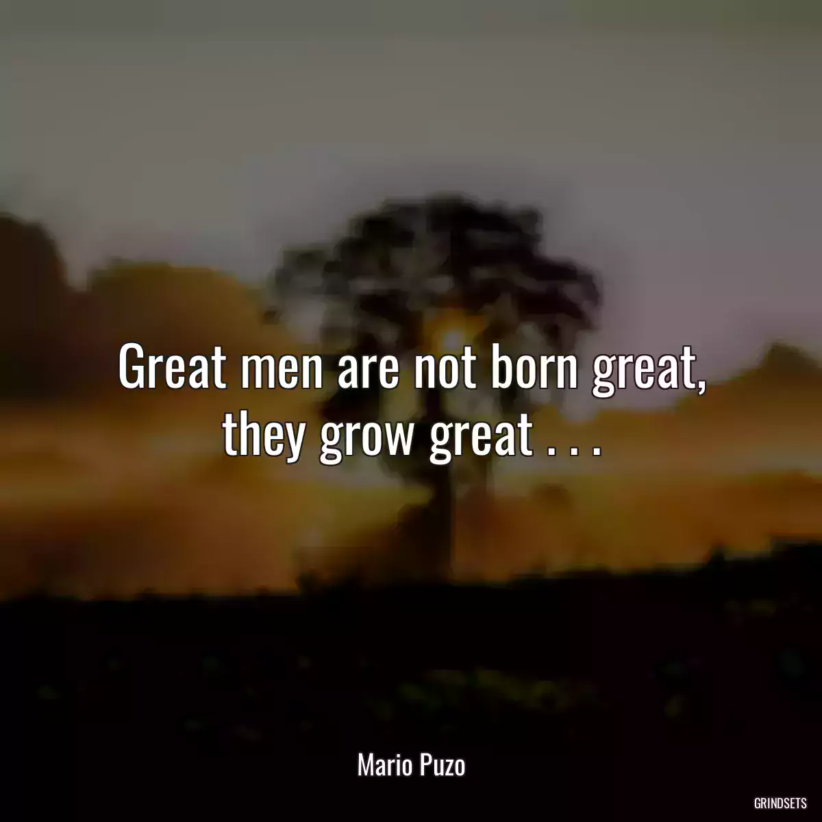 Great men are not born great, they grow great . . .