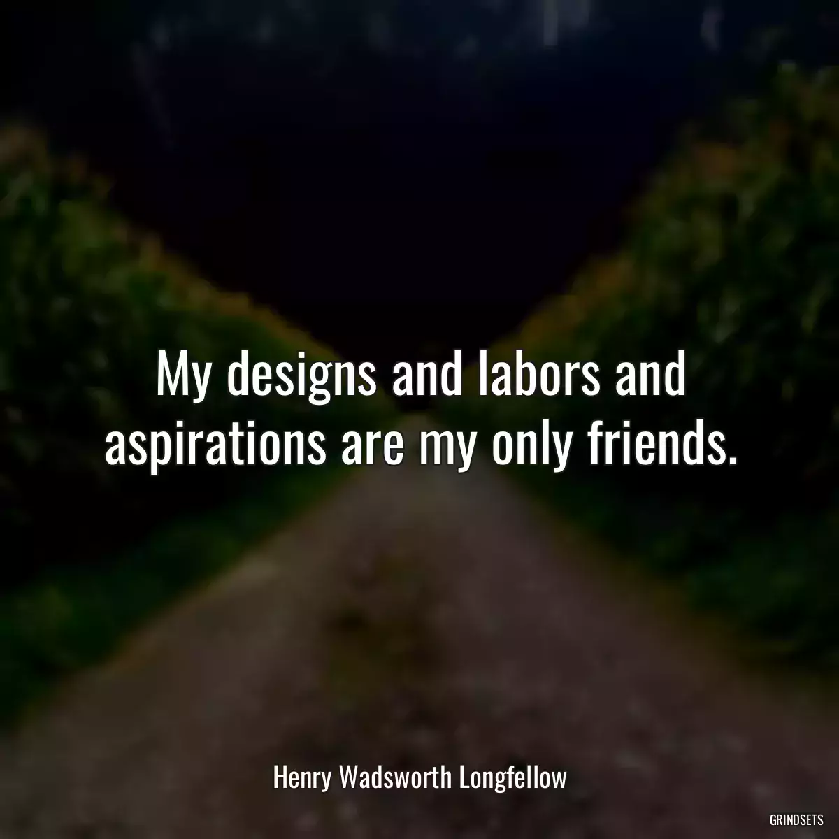 My designs and labors and aspirations are my only friends.