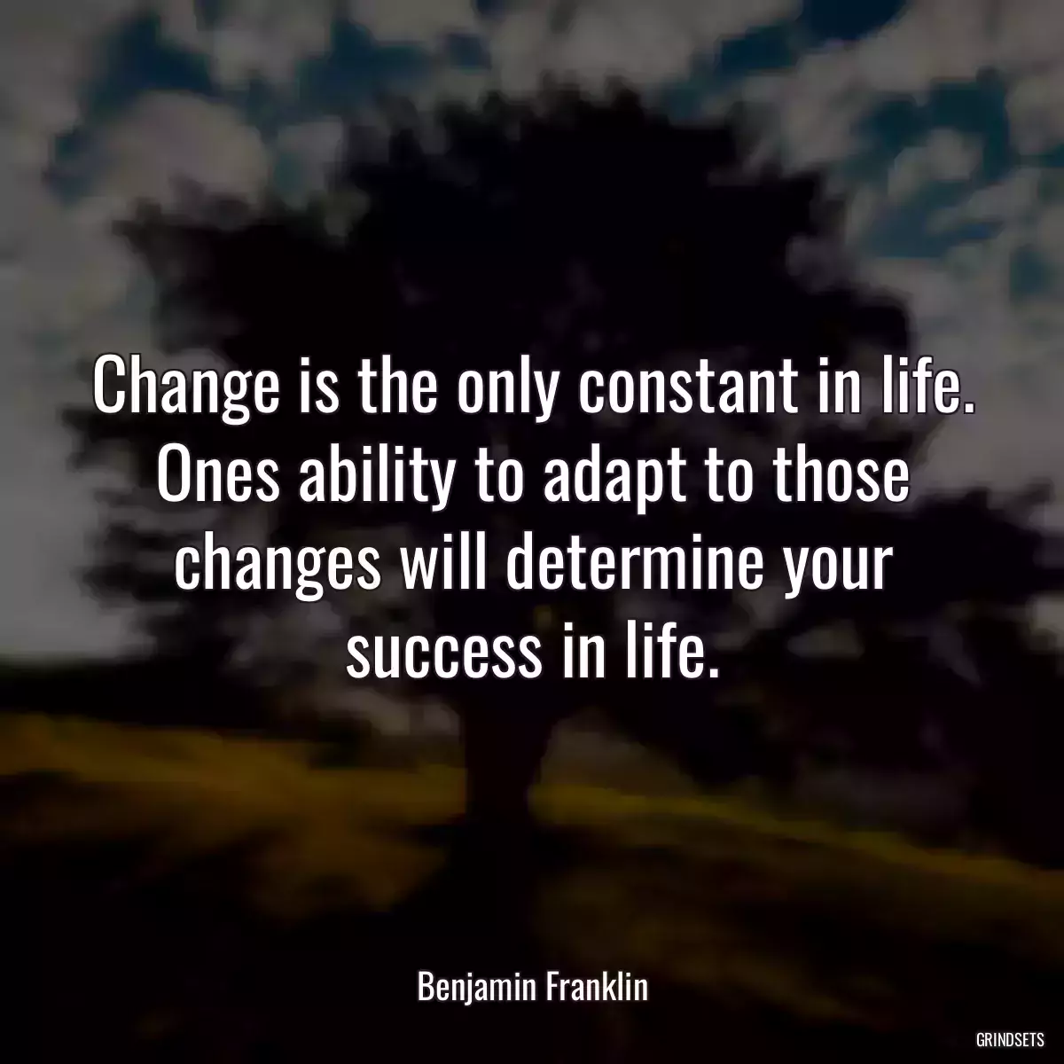 Change is the only constant in life. Ones ability to adapt to those changes will determine your success in life.