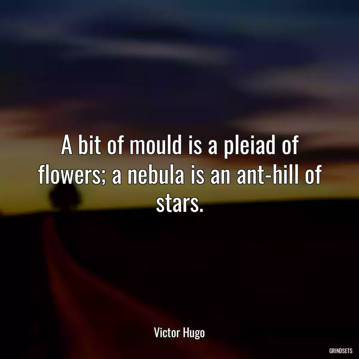 A bit of mould is a pleiad of flowers; a nebula is an ant-hill of stars.